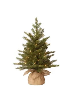 Outlet ✔️ National Tree 2' Pre-Lit Potted Nordic Spruce Full Artificial 🎄 Christmas Tree – Clear Lights 👍