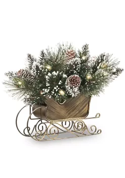 Best Sale 😀 National Tree 12" Pre-Lit Bristle Pine Sleigh Artificial Bush - Warm LED Lights 🔥