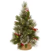 Best deal 😍 National Tree 18" Pre-Lit Medium Wintry Pine Artificial 🎁 Christmas Tree - Warm White Lights 😍