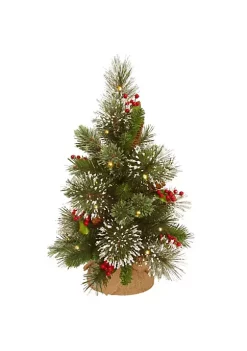 Best deal 😍 National Tree 18" Pre-Lit Medium Wintry Pine Artificial 🎁 Christmas Tree - Warm White Lights 😍 -Cheap Waverly® Store Belk 2630