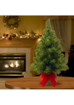 Budget 😍 National Tree 2' Potted Noble Spruce Medium Artificial 🎄 Christmas Tree - Unlit ⭐ -Cheap Waverly® Store Belk 2635
