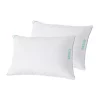 Discount ⌛ Waverly® Antimicrobial Feather Pillow (Set of 2) 🎁