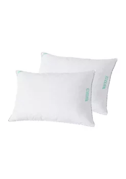 Discount ⌛ Waverly® Antimicrobial Feather Pillow (Set of 2) 🎁